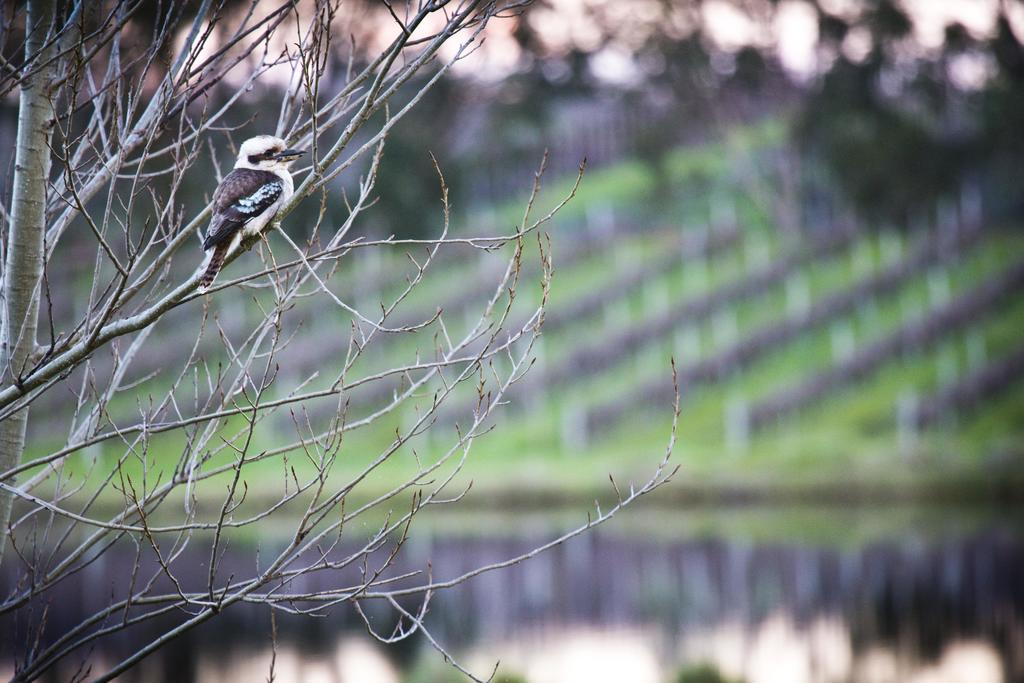 Bettenays Margaret River Metricup 部屋 写真